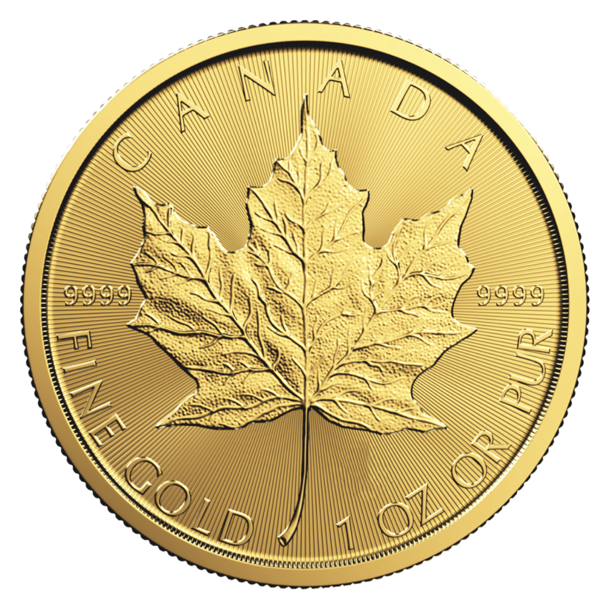 Random 1/20 Oz Gold Maple Coin